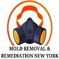 Mold Removal & Remediation New York - Bronx image 1